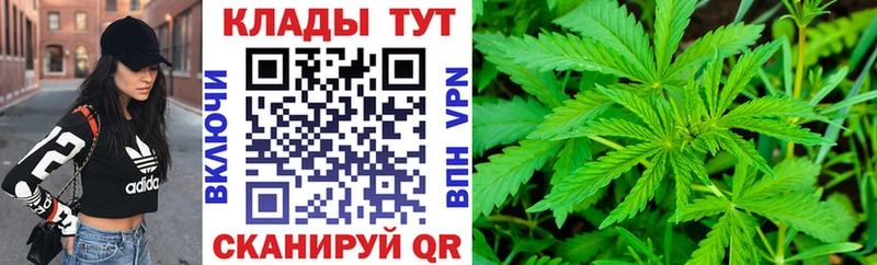 Продажа наркотиков Ковров СК  ГАШИШ  Канабис 