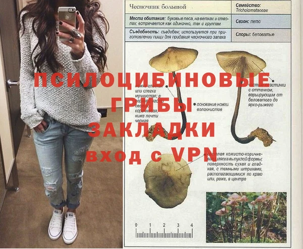 jwh Майский
