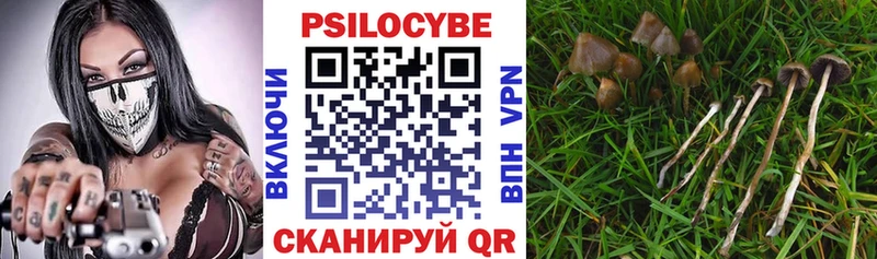 сколько стоит  Ковров  Галлюциногенные грибы ЛСД 