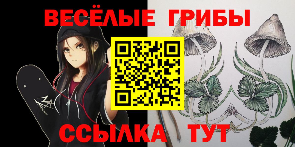 Галлюциногенные грибы мицелий Ковров