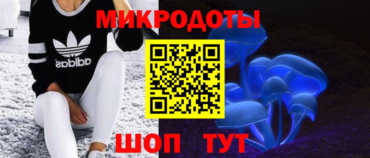 купить   Вход с VPN  Ковров  Псилоцибиновые грибы Psilocybine cubensis 